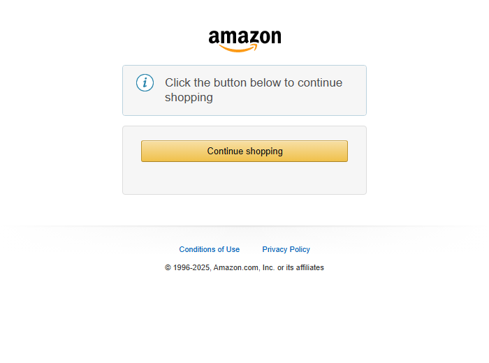 The page Amazon returned to the bot